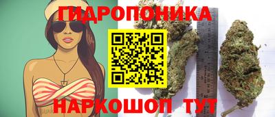 шишки Ливны