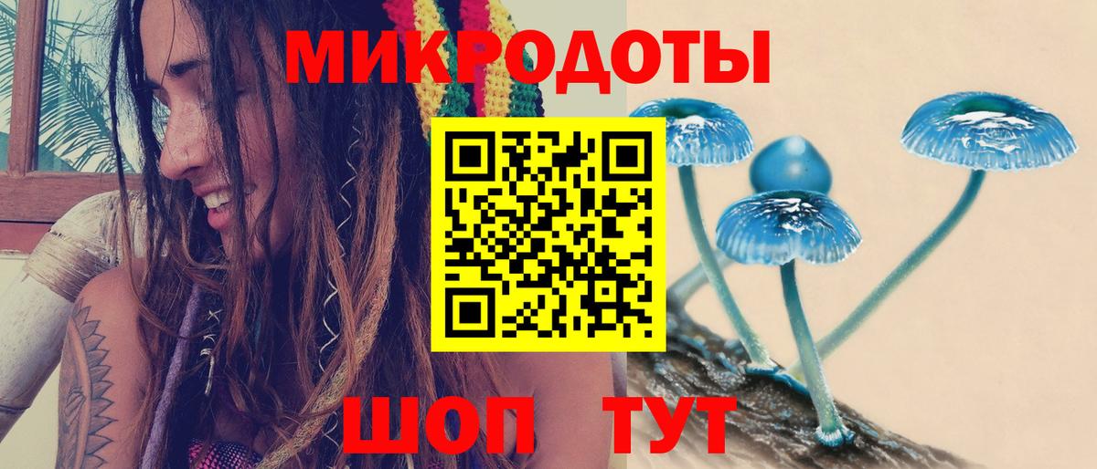 Галлюциногенные грибы Psilocybe Алапаевск